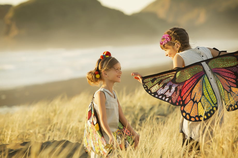 Make Your Own Butterfly Wings