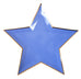 Colorful Star Paper Plates