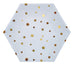 Colorful Gold Star Paper Plates