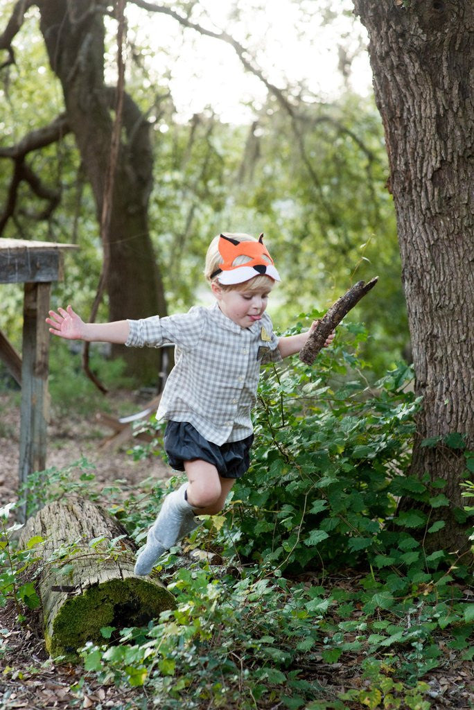 Little Fox Costume