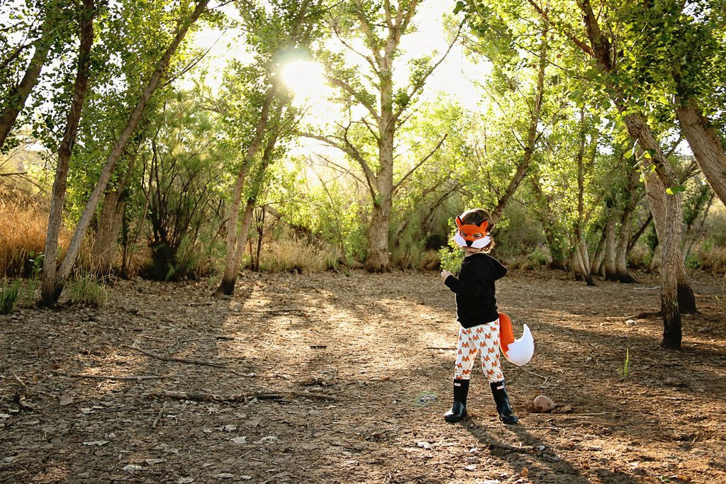 Little Fox Costume