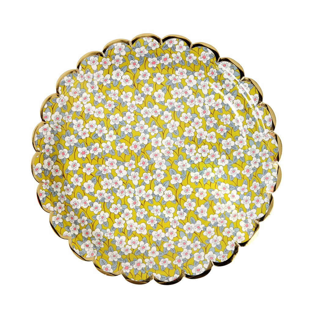 Assorted Liberty Paper Plates (Small)