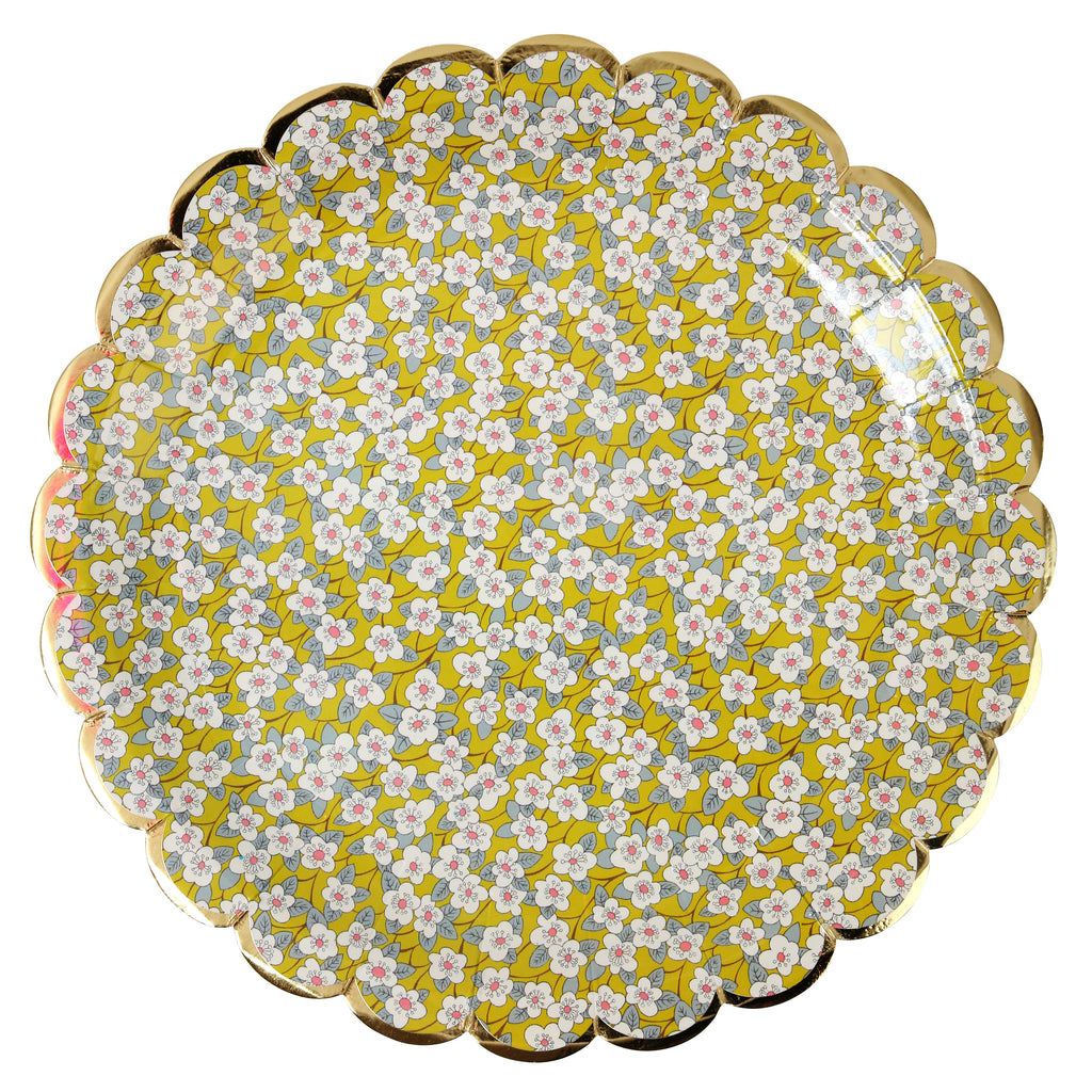 Assorted Liberty Paper Plates (Large)