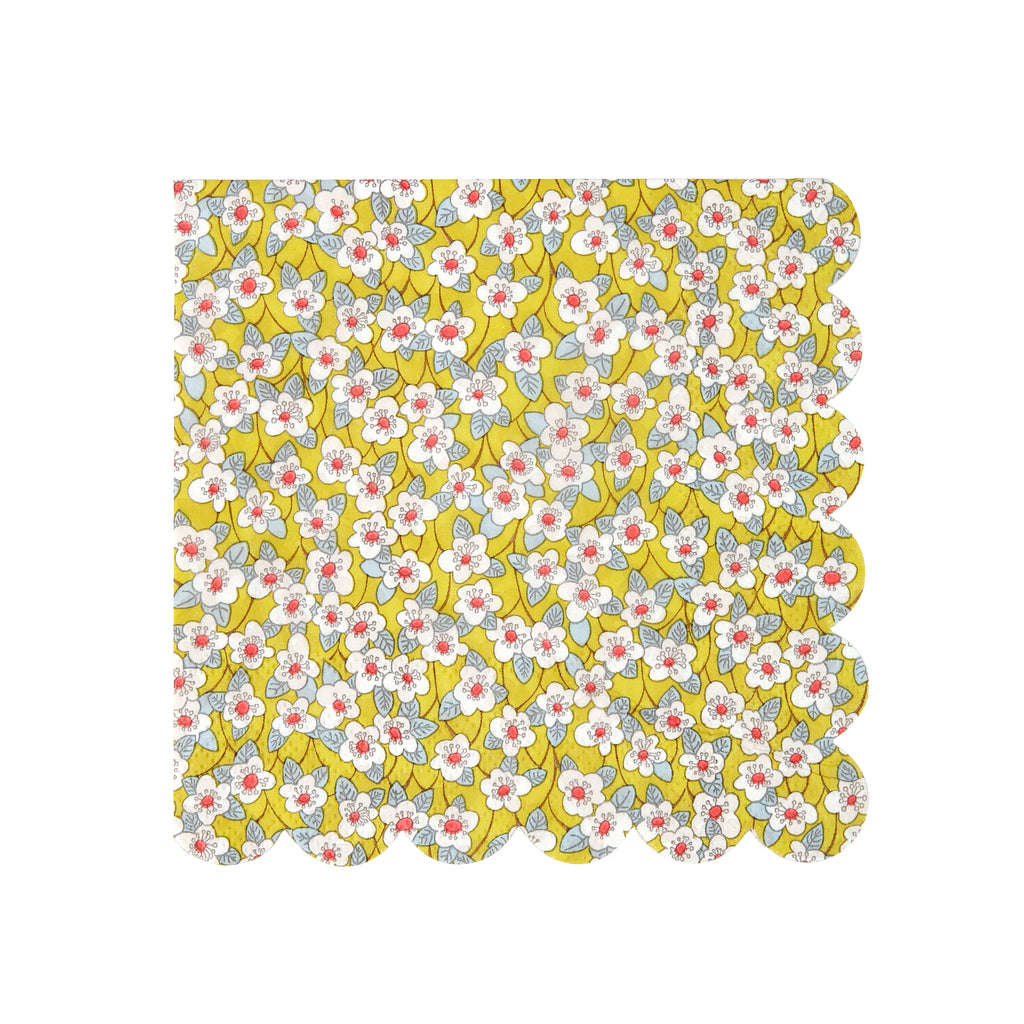 Assorted Liberty Napkins (Small)