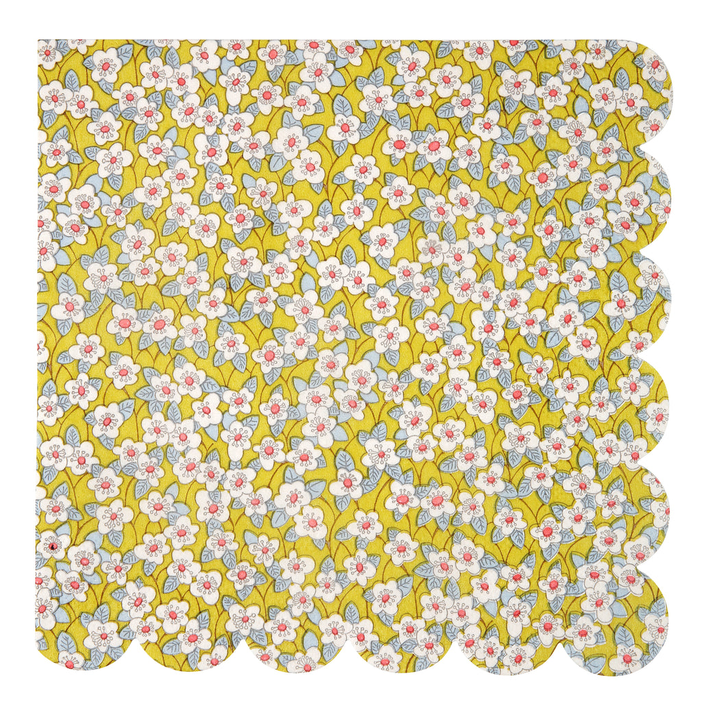 Assorted Liberty Napkins (Large)
