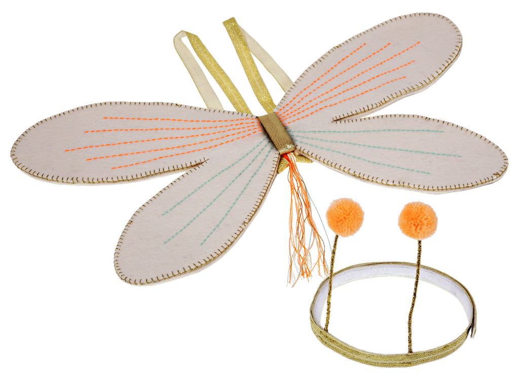 Butterfly Dress Up Kit