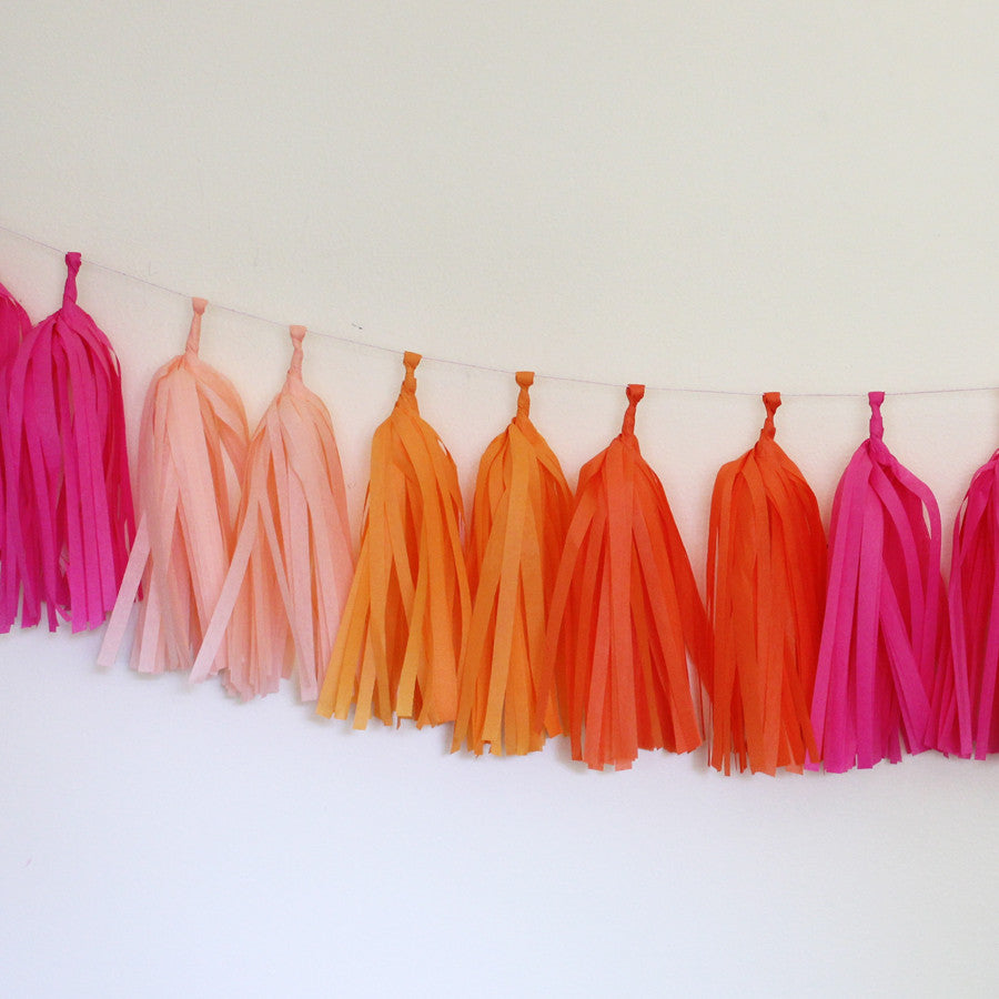 Tissue Paper Tassel Garland DIY Kit