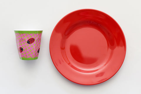 Ladybug Place Setting Set