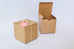 Party Favor Kraft Box
