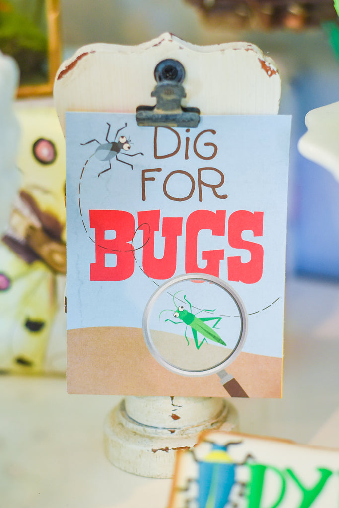 Party Paper Placemat Bug Collection Kit