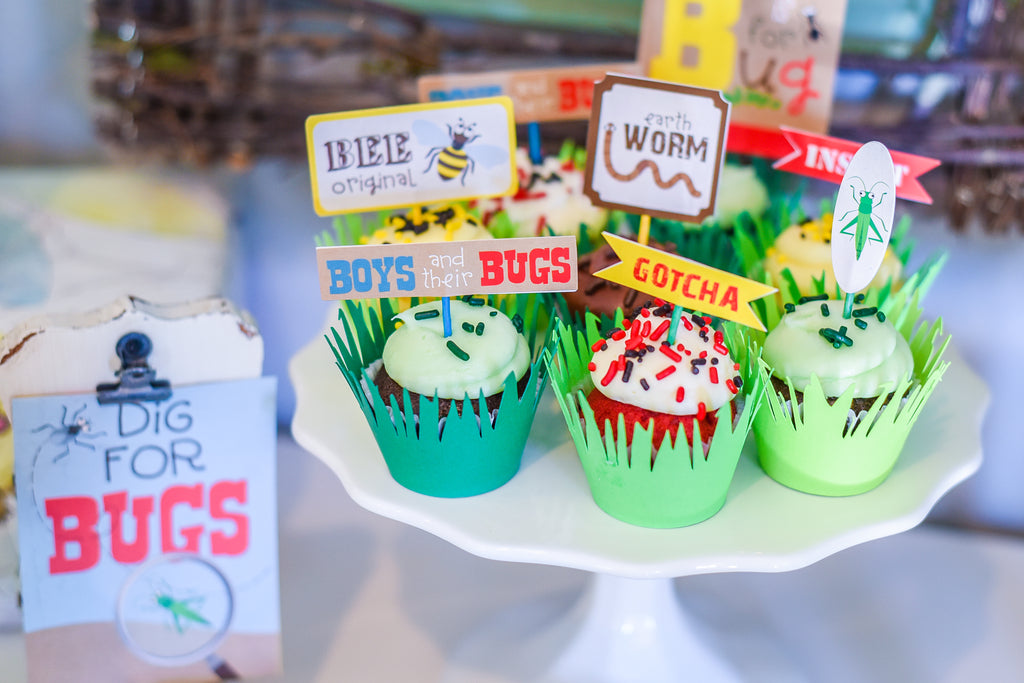 Party Paper Placemat Bug Collection Kit