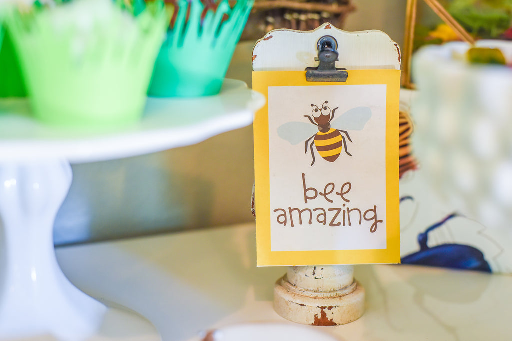 Party Paper Placemat Bug Collection Kit