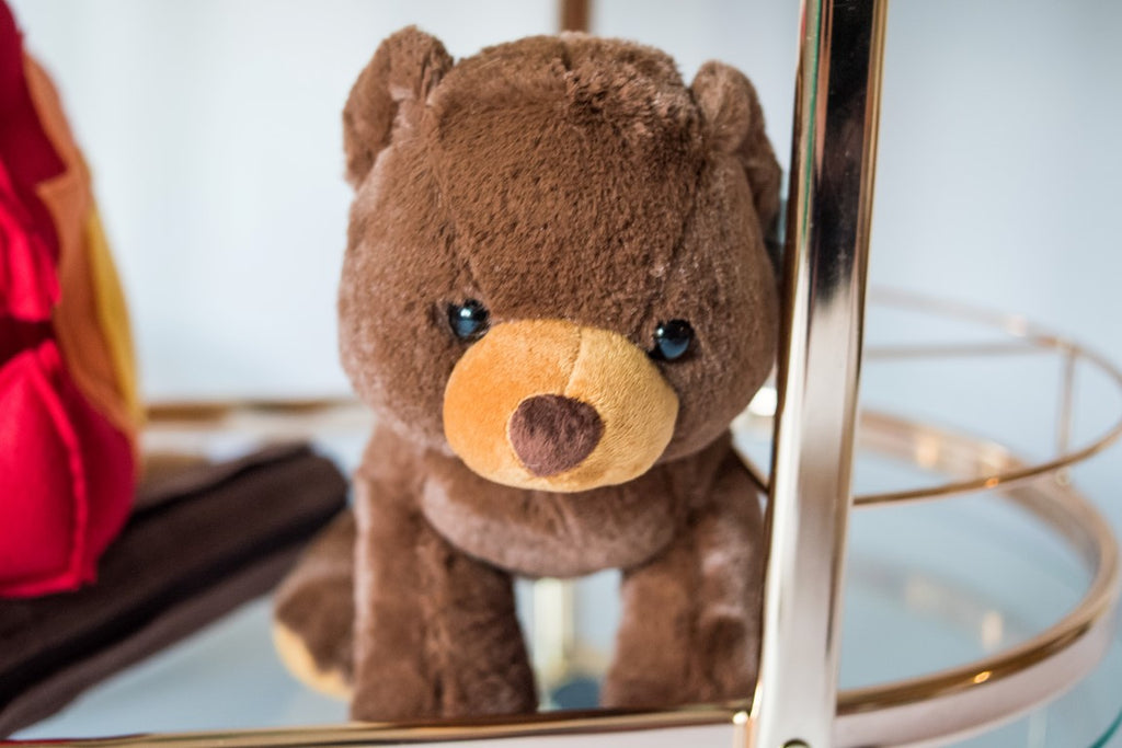 Little Buddy Grizzly Plush Bear