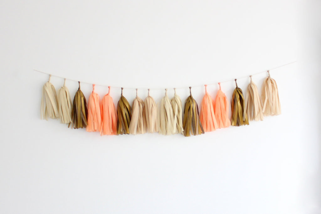 Tissue Paper Tassel Garland DIY Kit