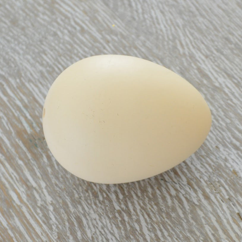 Ready To Grow Dino Egg