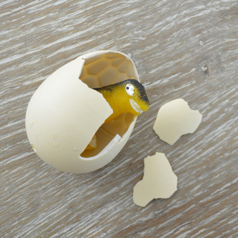 Ready To Grow Dino Egg