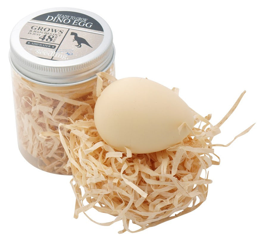 Ready To Grow Dino Egg