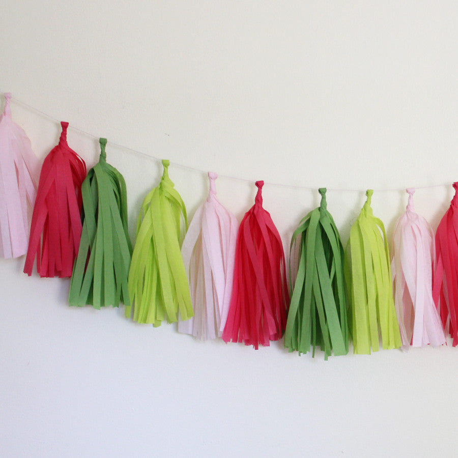 Tissue Paper Tassel Garland DIY Kit