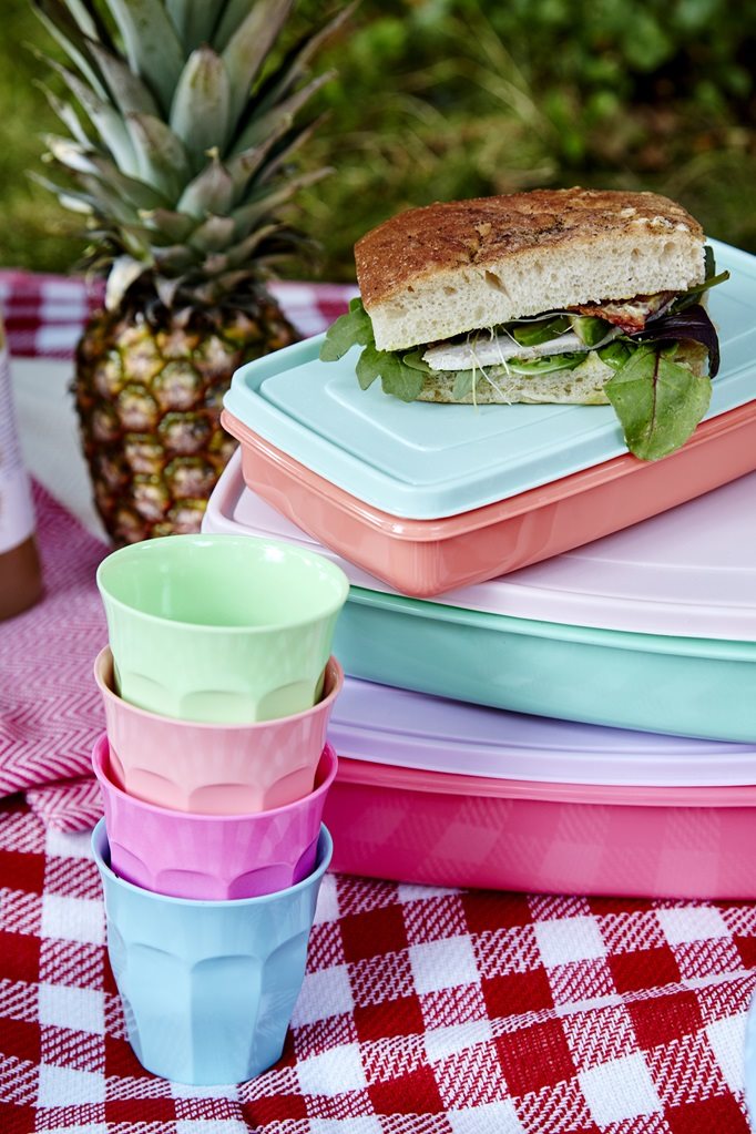 Red Checkered Picnic Blanket