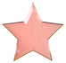 Colorful Star Paper Plates