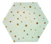 Colorful Gold Star Paper Plates