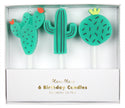 Cactus Candles