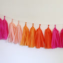 Tissue Paper Tassel Garland DIY Kit