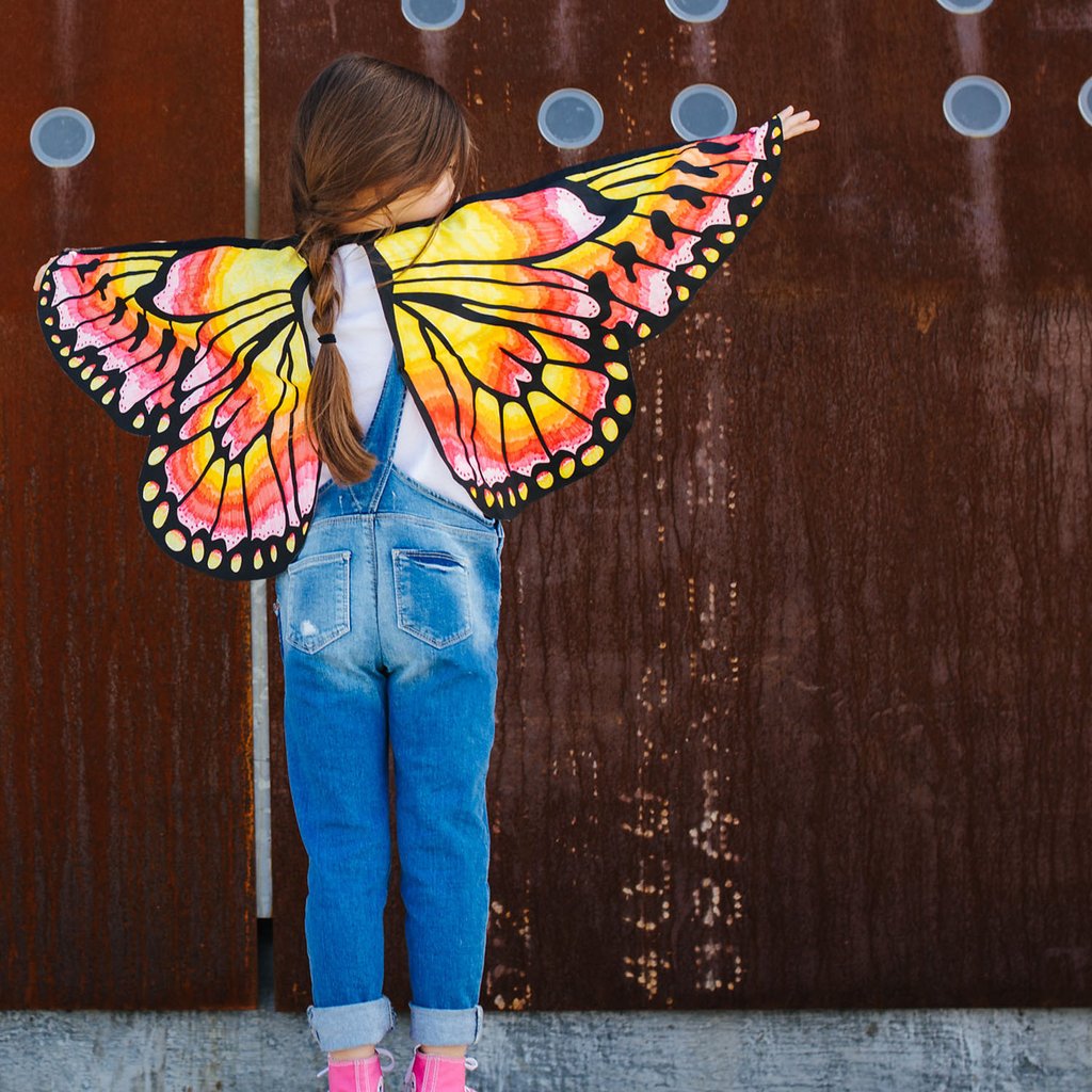 DIY Sparkly Butterfly or Fairy Wings