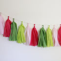 Tissue Paper Tassel Garland DIY Kit